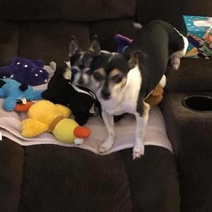 Meet your Posher, Renee